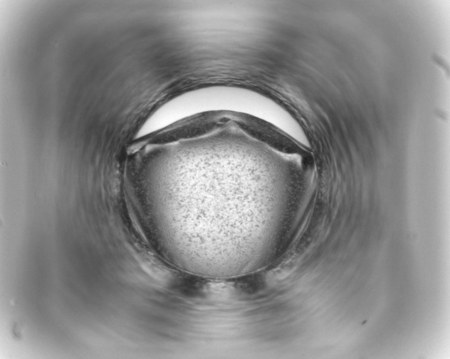 X0000093230413200710241240