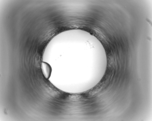 X0000093230414200710241240