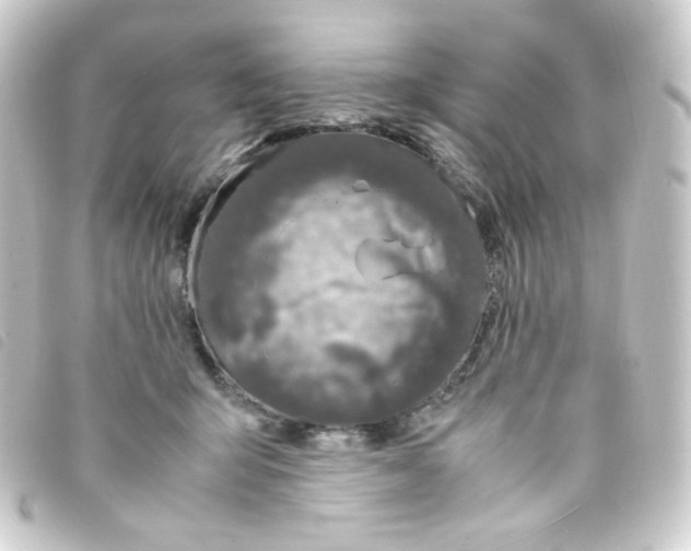 X0000093230415200710241240