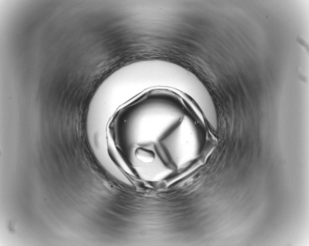 X0000093230416200710241240