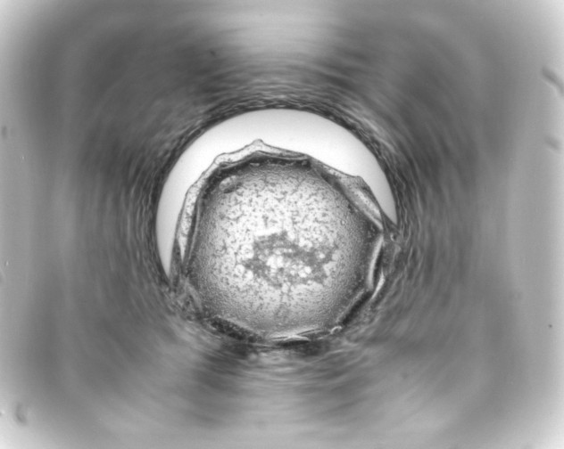 X0000093230417200710241240