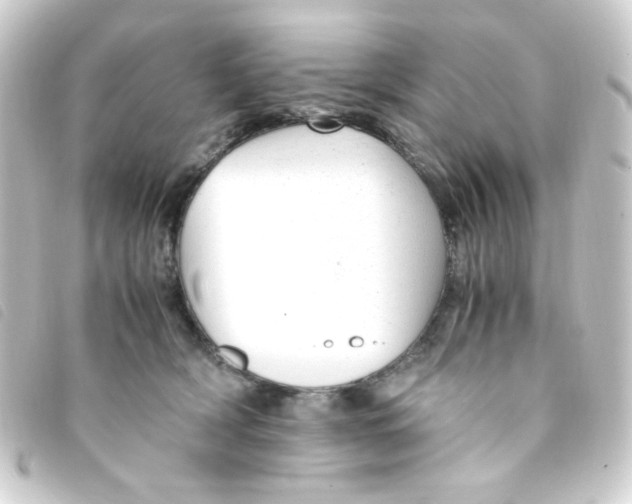 X0000093230418200710241239