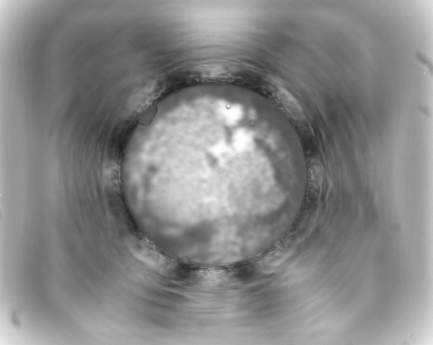 X0000093230419200710241239