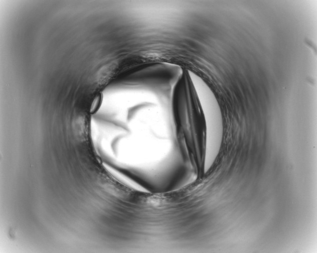 X0000093230420200710241239