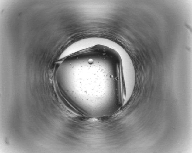 X0000093230421200710241239