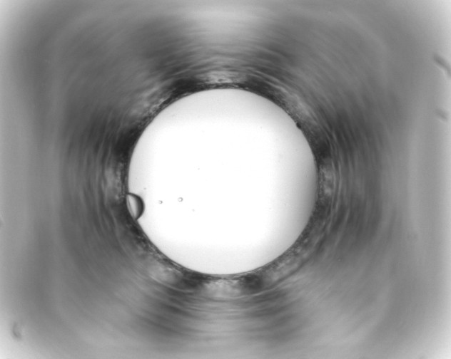 X0000093230422200710241239