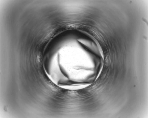 X0000093230424200710241239