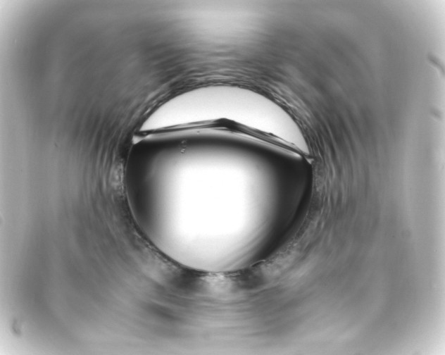 X0000093230425200710241239