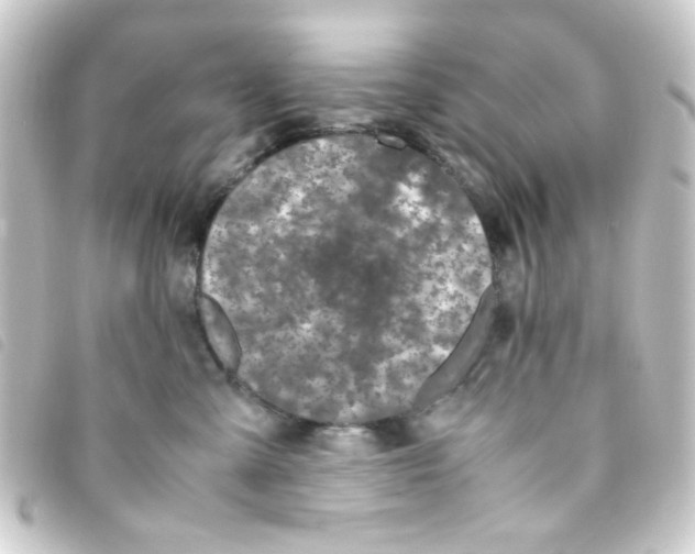 X0000093230427200710241239