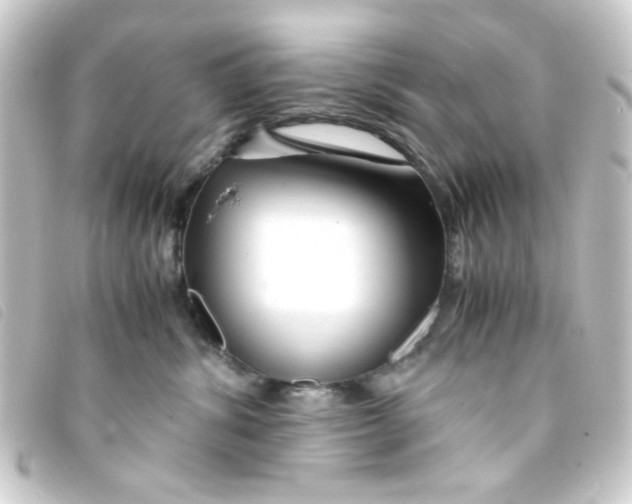 X0000093230428200710241239