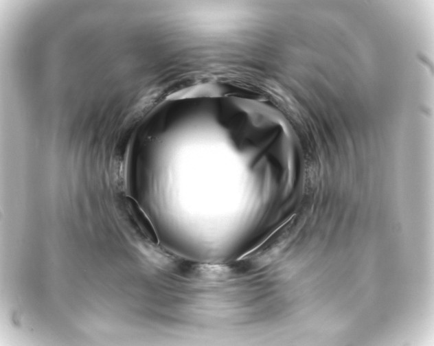 X0000093230429200710241239