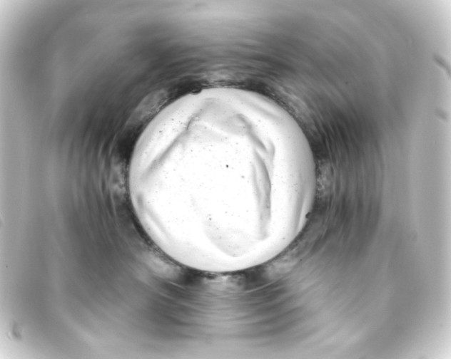 X0000093230430200710241239