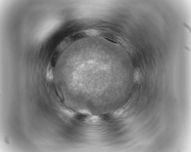 X0000093230431200710241239