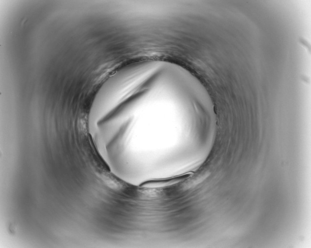 X0000093230432200710241239