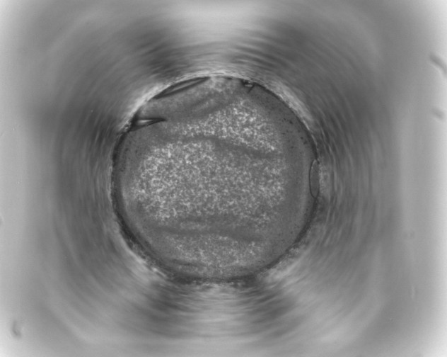 X0000093230434200710241239