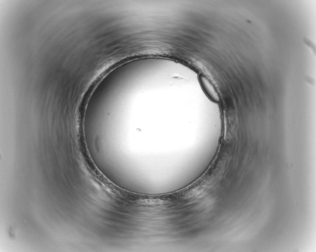 X0000093230435200710241239