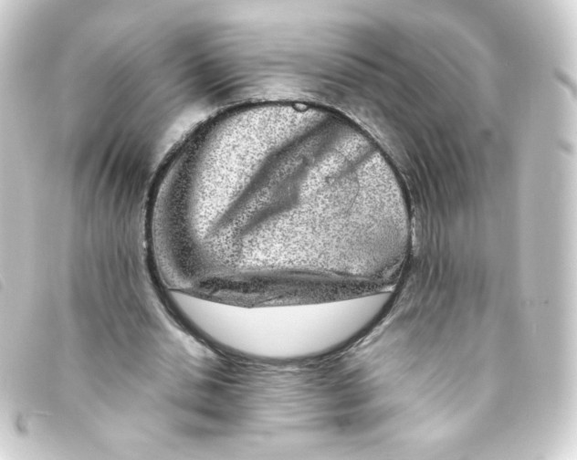 X0000093230438200710241239