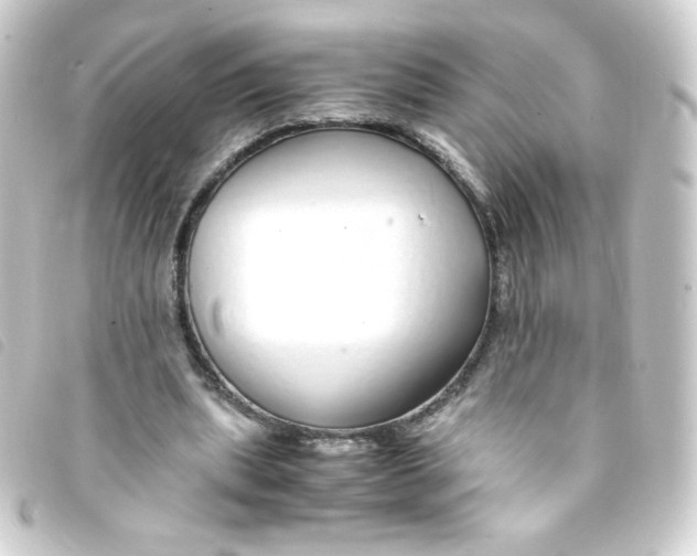 X0000093230439200710241239