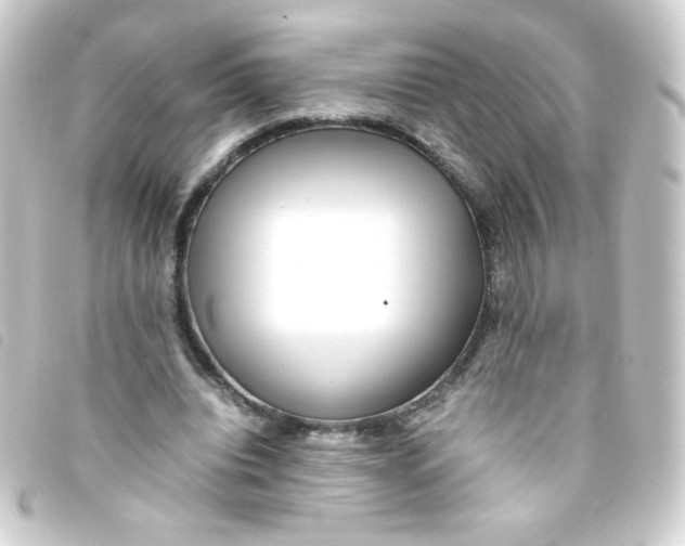 X0000093230440200710241239