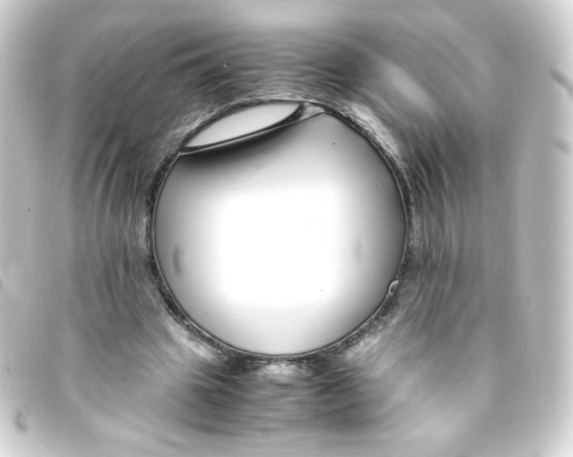 X0000093230441200710241239