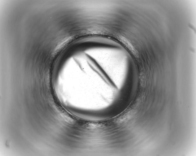 X0000093230442200710241239