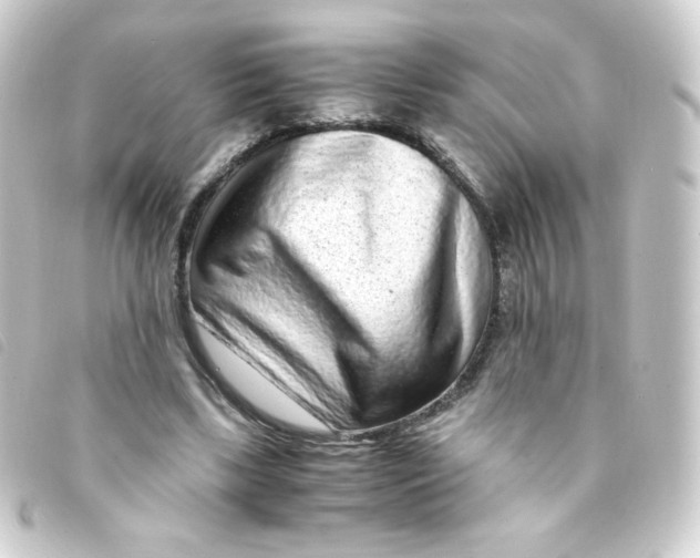 X0000093230443200710241239