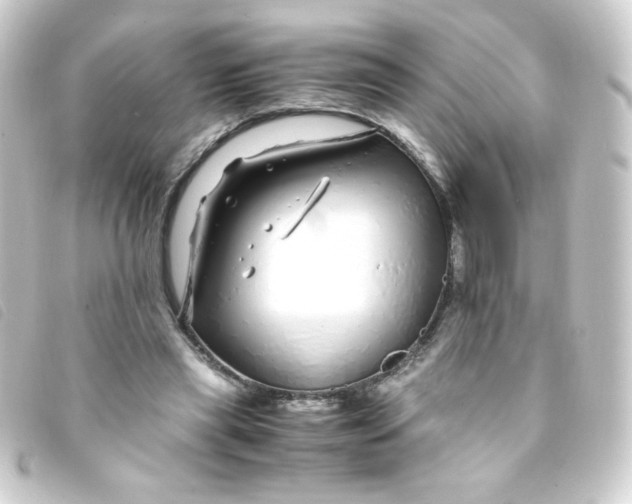 X0000093230445200710241239