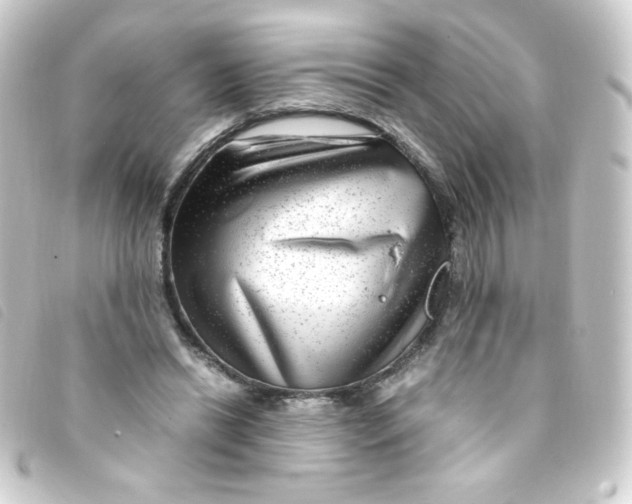 X0000093230446200710241239