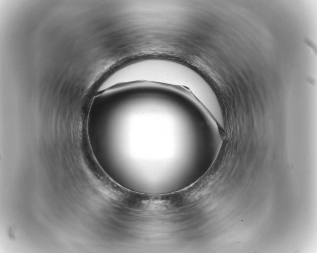 X0000093230448200710241239