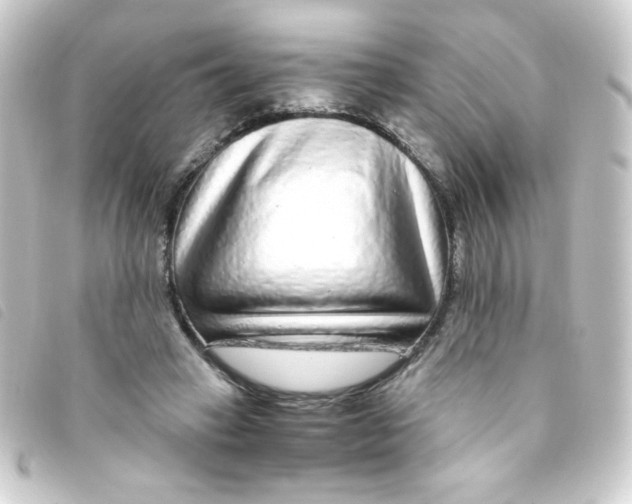 X0000093230449200710241239