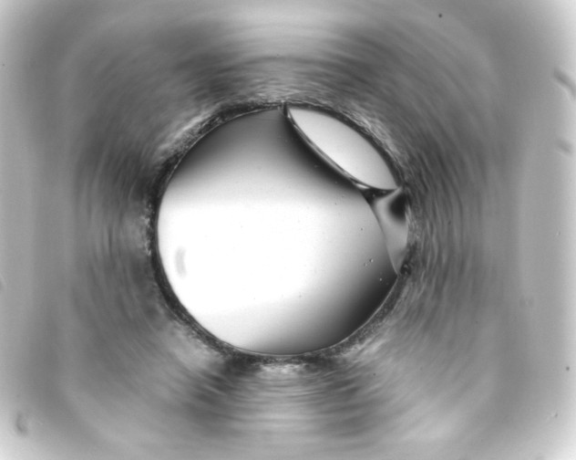 X0000093230450200710241239