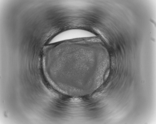 X0000093230451200710241239