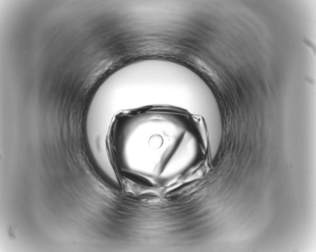 X0000093230452200710241239