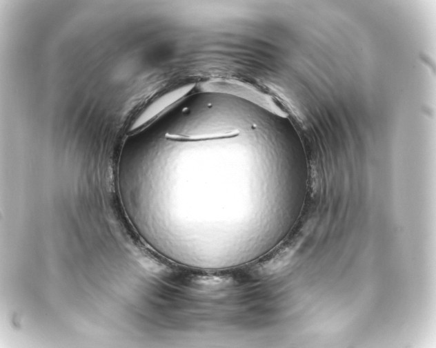 X0000093230453200710241239