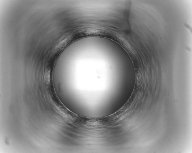 X0000093230454200710241239