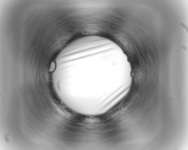 X0000093230455200710241239