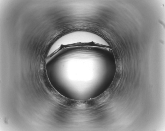 X0000093230456200710241239