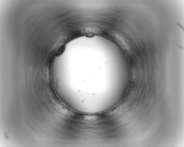 X0000093230457200710241239