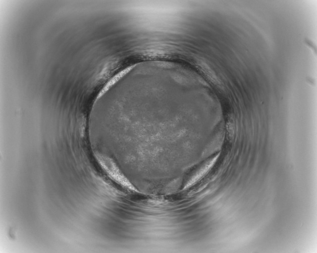 X0000093230458200710241239