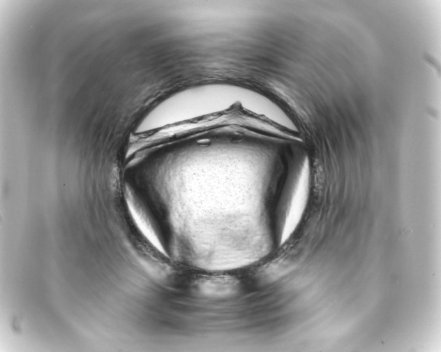 X0000093230459200710241239