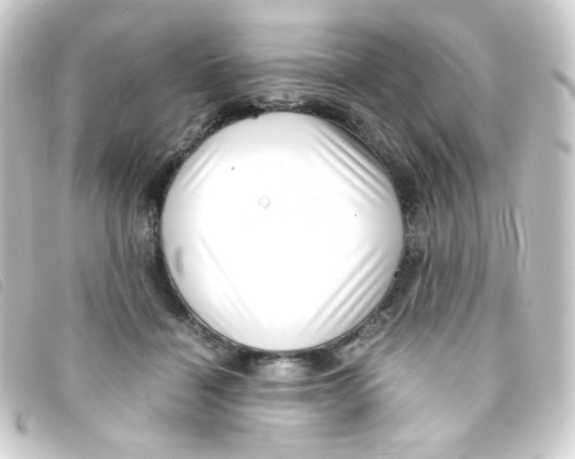 X0000093230460200710241239