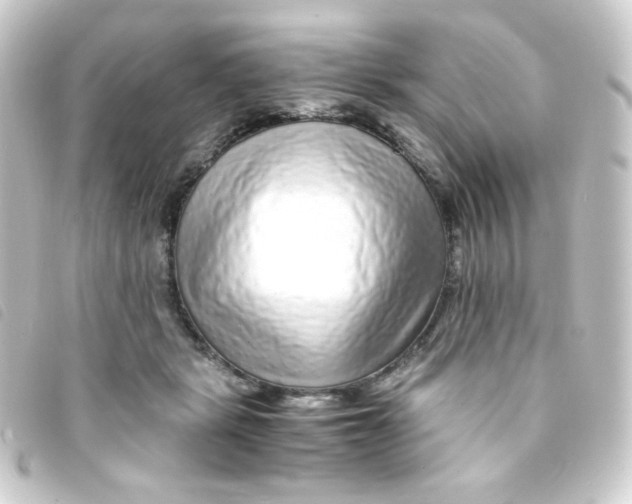 X0000093230461200710241239