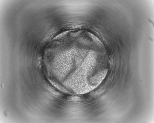 X0000093230462200710241239