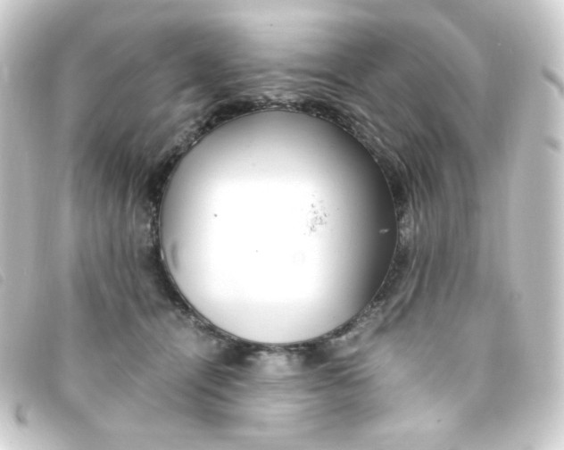 X0000093230464200710241239