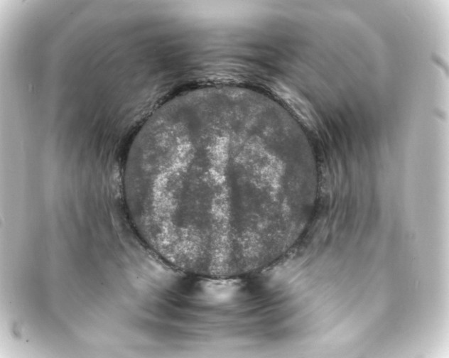 X0000093230465200710241239