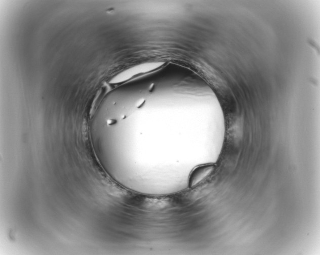 X0000093230469200710241239