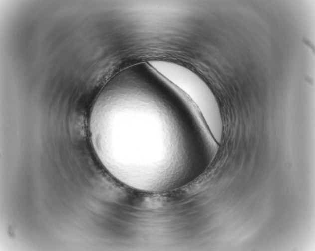 X0000093230470200710241239