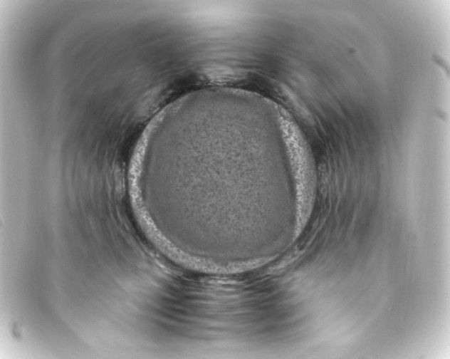 X0000093230471200710241239