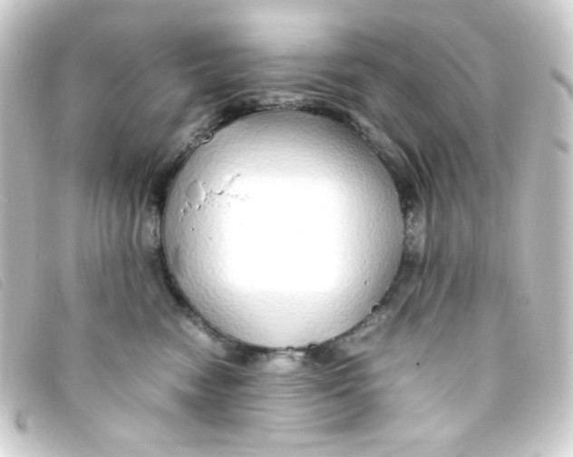 X0000093230474200710241239