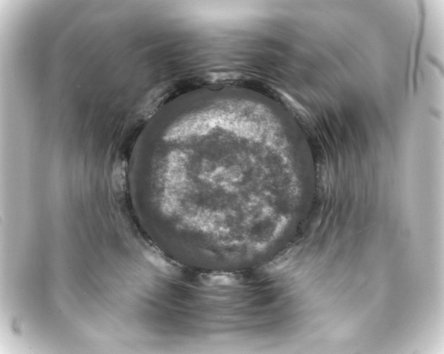 X0000093230475200710241239